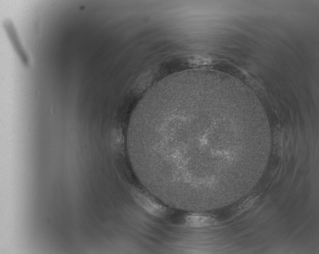 X0000072940614200607282205