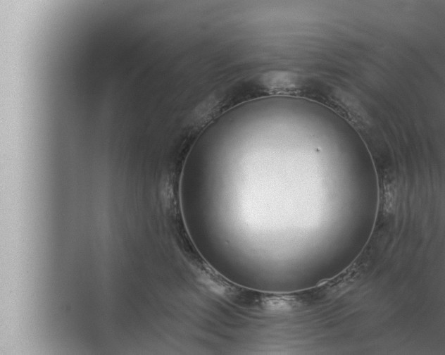 X0000072940618200607282205