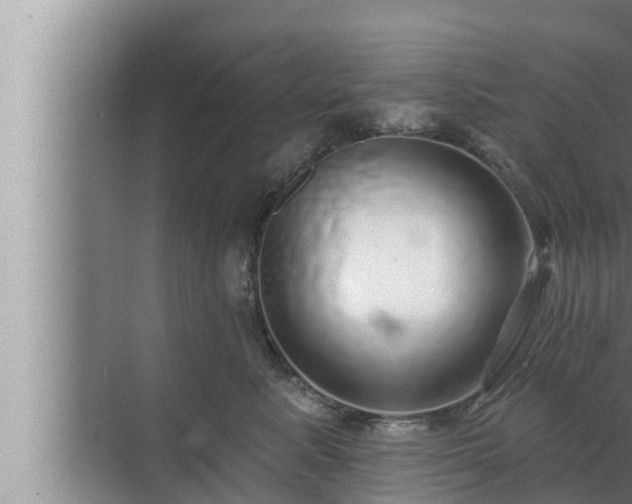 X0000072940619200607282205