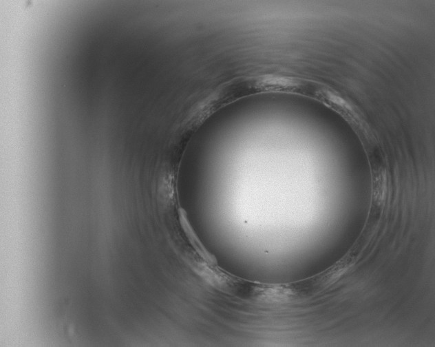 X0000072940621200607282205