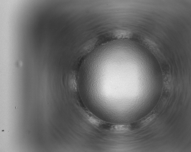 X0000072940622200607282205