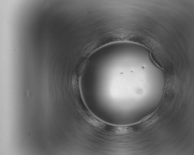 X0000072940623200607282205