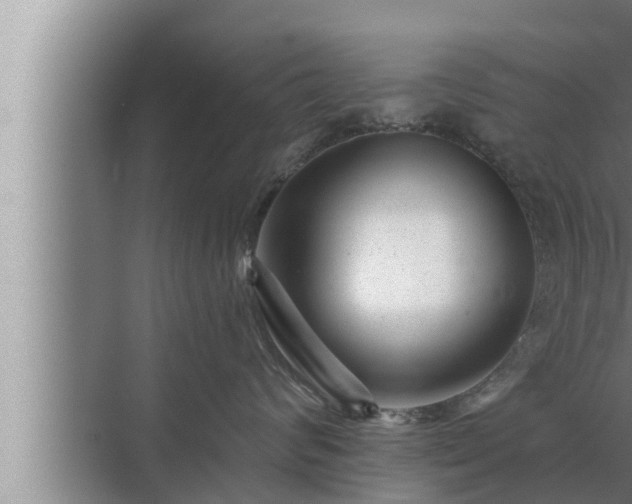 X0000072940624200607282205