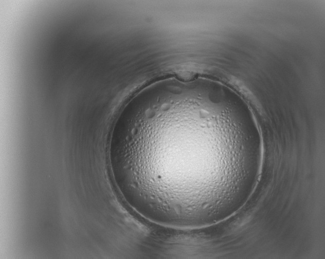 X0000072940625200607282204