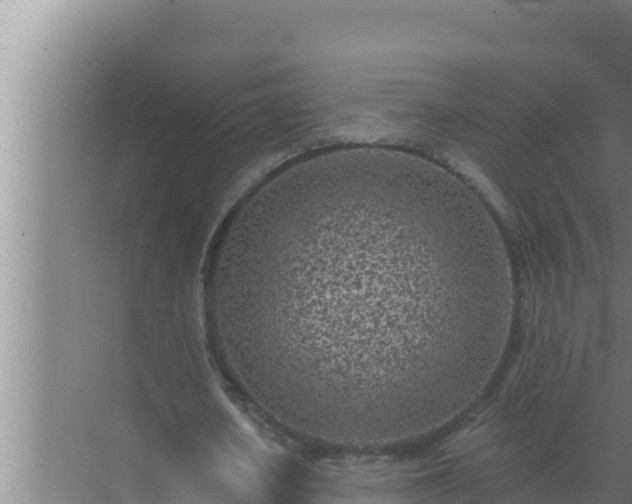 X0000072940626200607282204