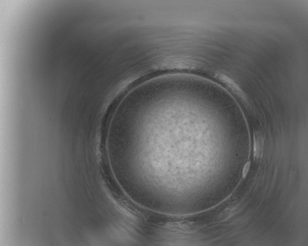 X0000072940627200607282204