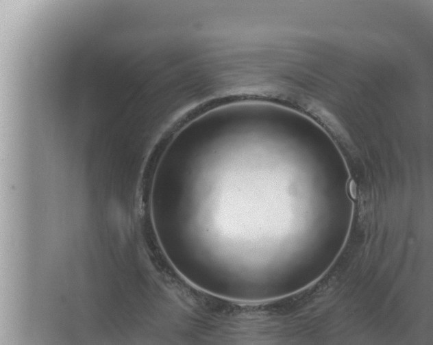 X0000072940628200607282204