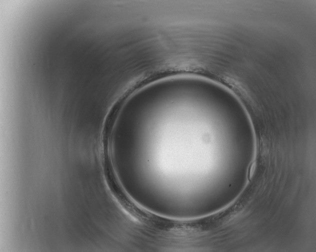 X0000072940630200607282204