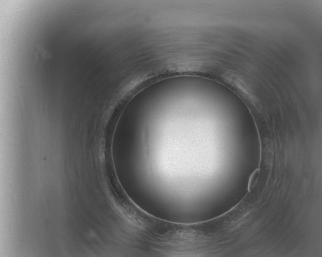 X0000072940631200607282204