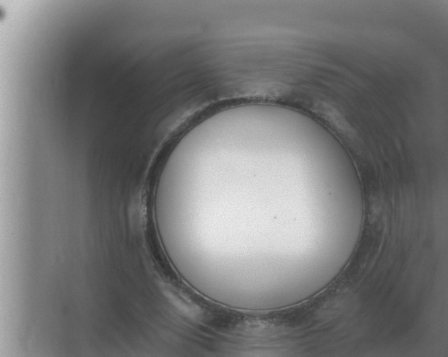 X0000072940632200607282204