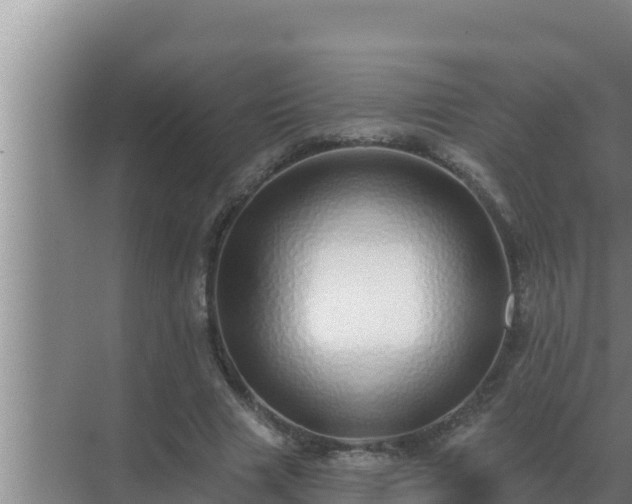 X0000072940633200607282204