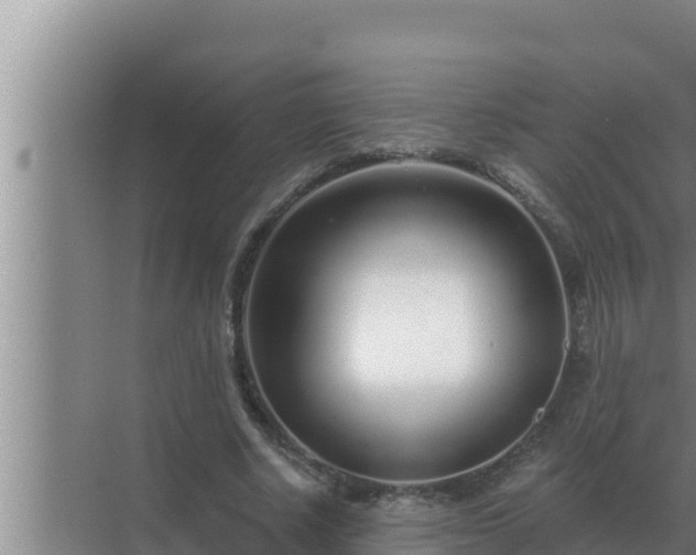 X0000072940634200607282204