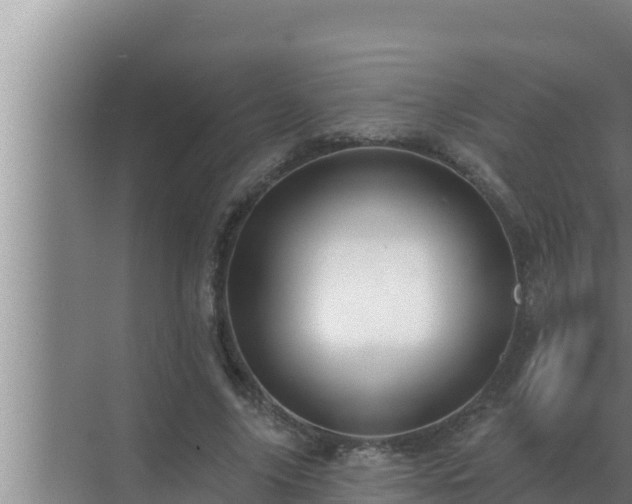 X0000072940635200607282204