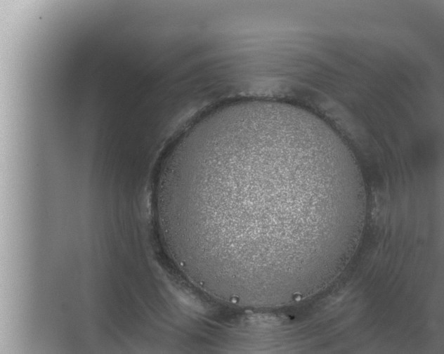 X0000072940636200607282204