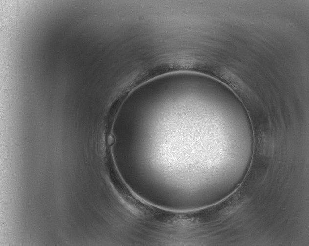 X0000072940638200607282204