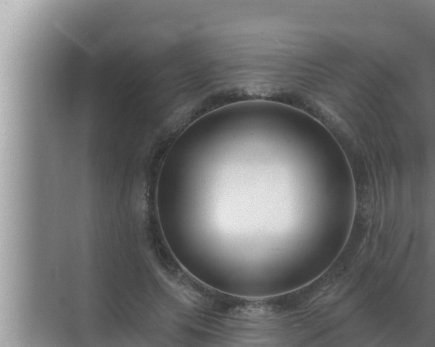 X0000072940639200607282204