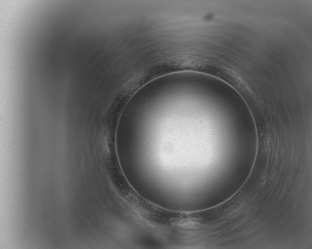 X0000072940643200607282204