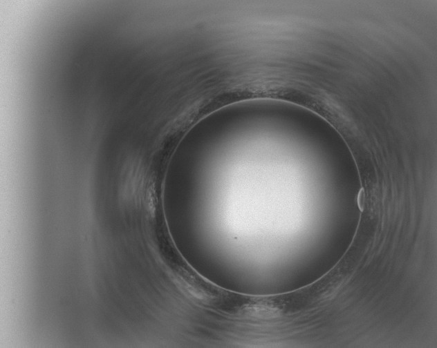 X0000072940644200607282204