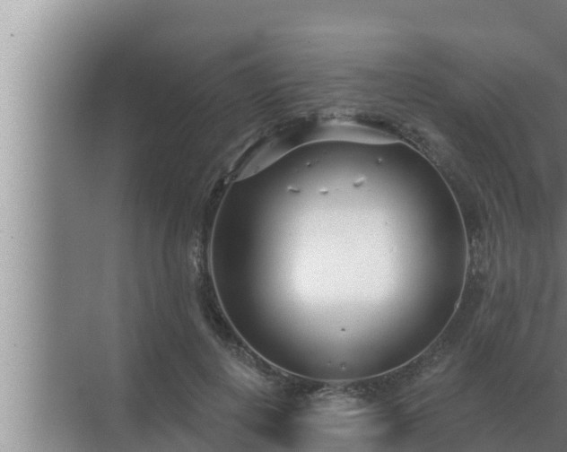 X0000072940648200607282204