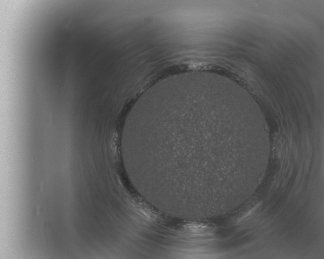 X0000072940650200607282204