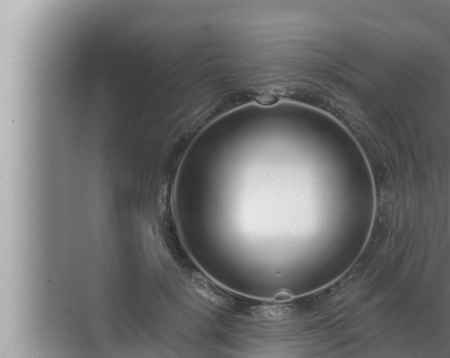 X0000072940652200607282204