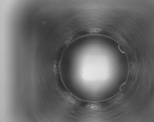 X0000072940655200607282204