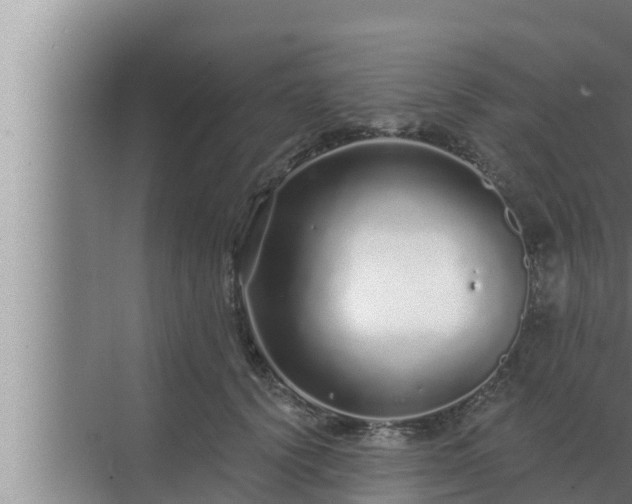 X0000072940656200607282204