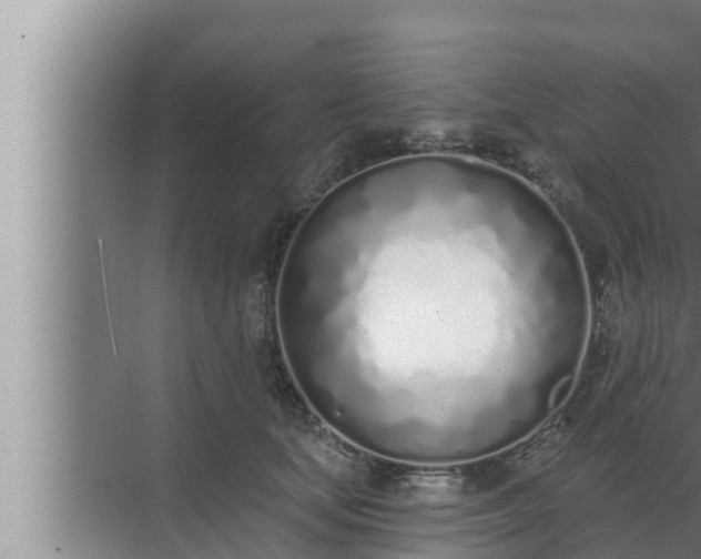 X0000072940659200607282204