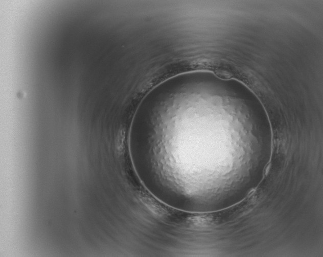 X0000072940660200607282205