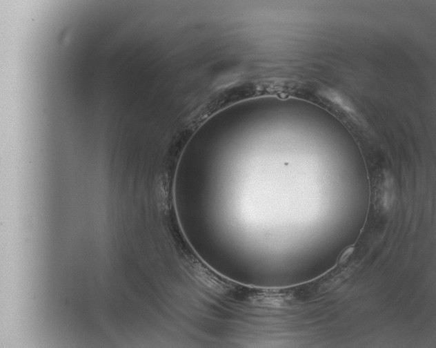 X0000072940661200607282205