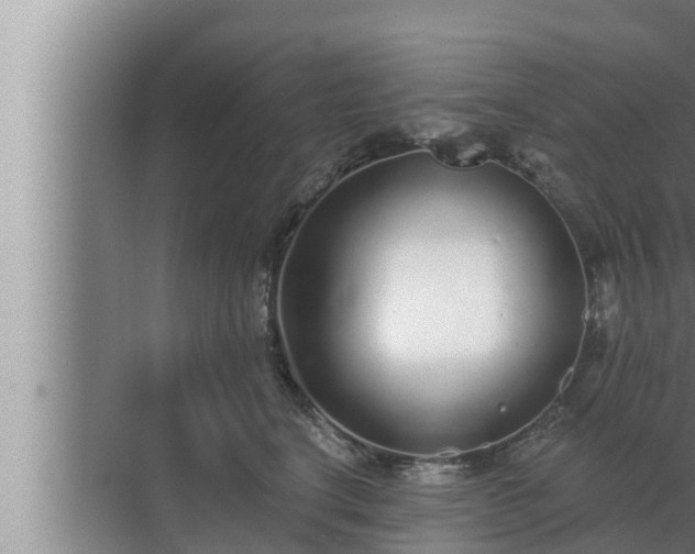 X0000072940664200607282205