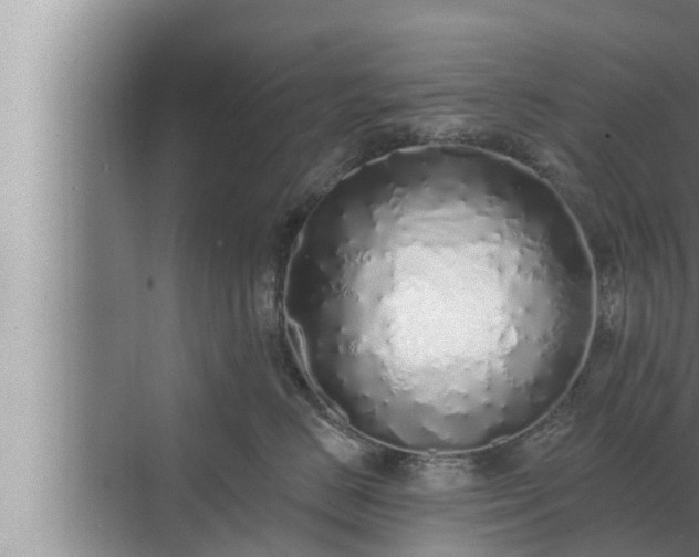 X0000072940670200607282205