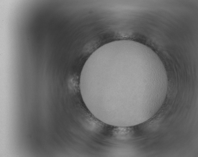 X0000072940672200607282205