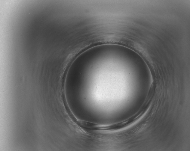 X0000072940673200607282204