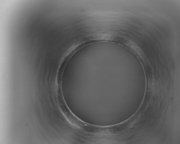 X0000072940674200607282204