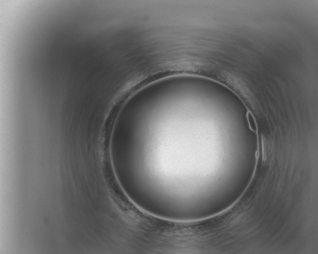 X0000072940675200607282204