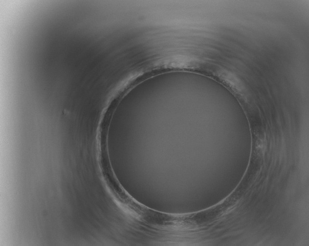 X0000072940678200607282204