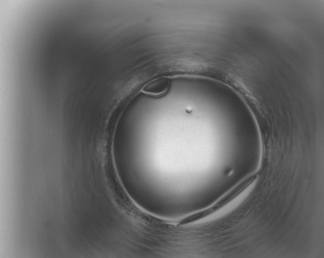 X0000072940679200607282204