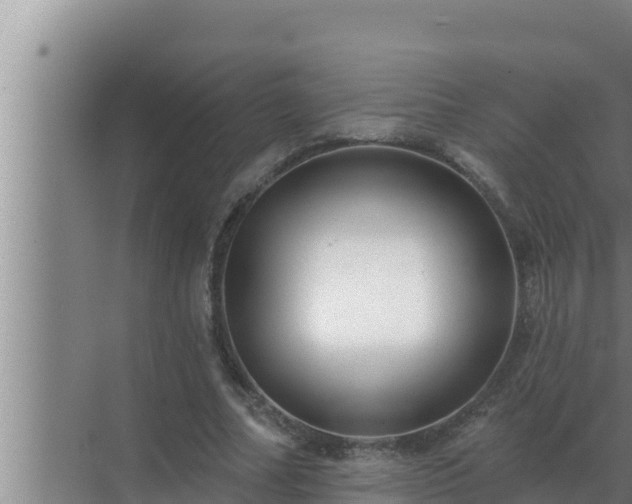 X0000072940682200607282204