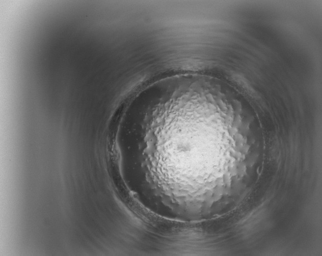 X0000072940683200607282204