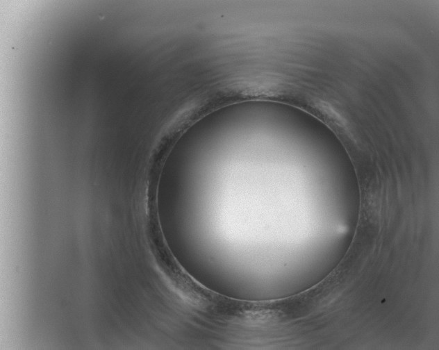 X0000072940686200607282204