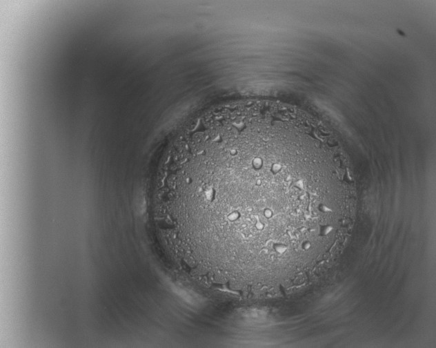 X0000072940687200607282204