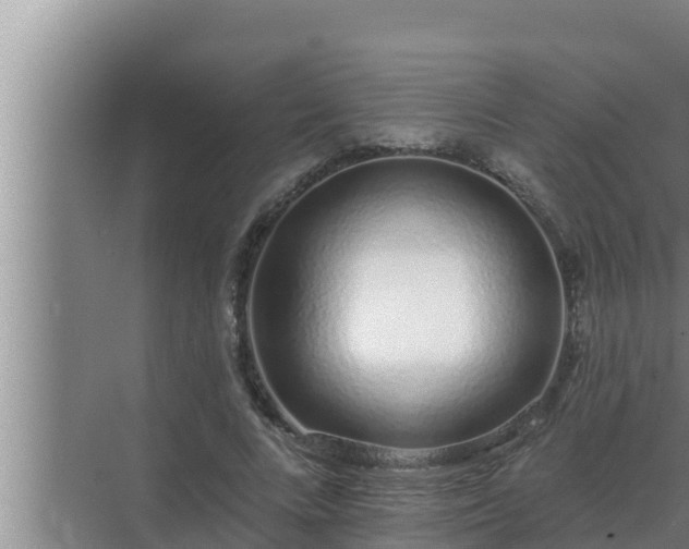 X0000072940688200607282204