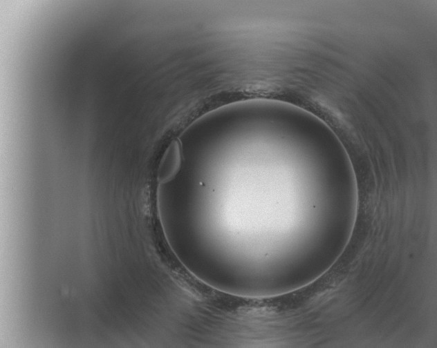 X0000072940689200607282204