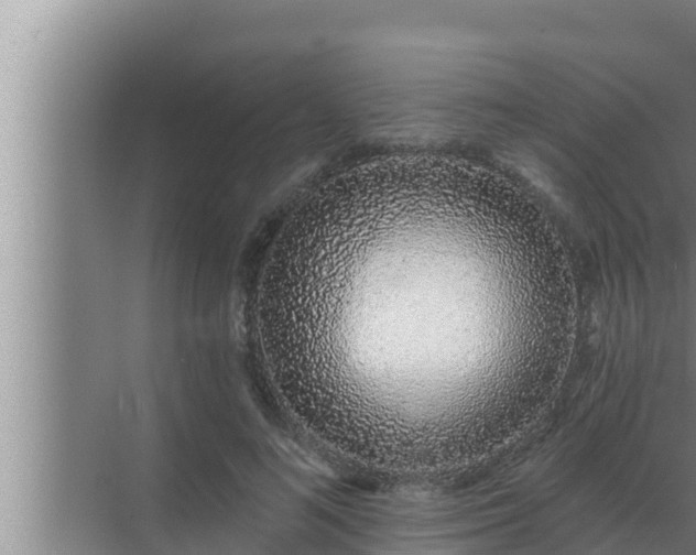 X0000072940692200607282204