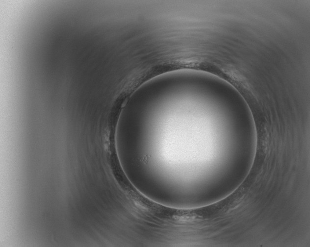 X0000072940693200607282204