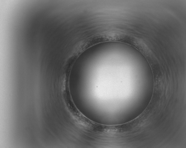 X0000072940694200607282204