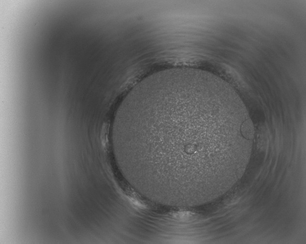 X0000072940695200607282204