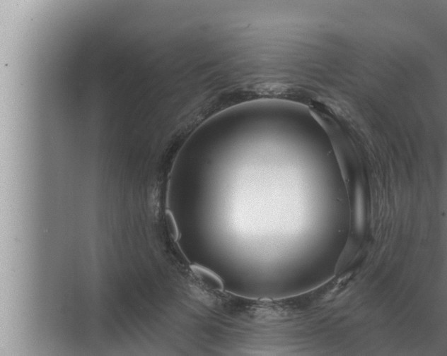 X0000072940697200607282203