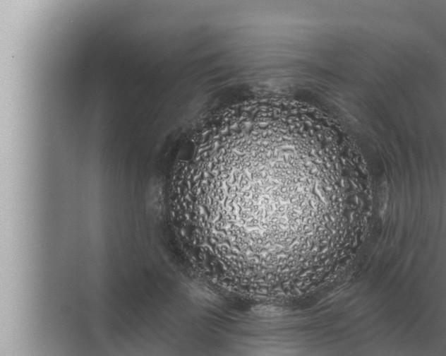 X0000072940699200607282203